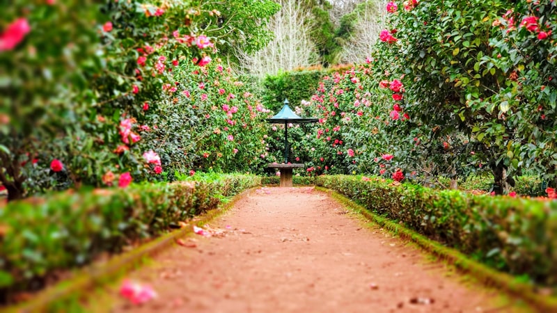 Garden Pathways