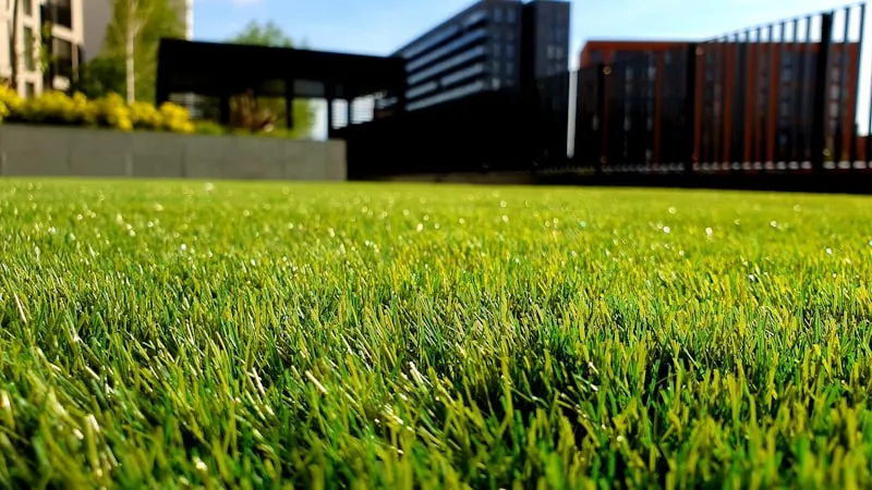 Scheduled lawn care